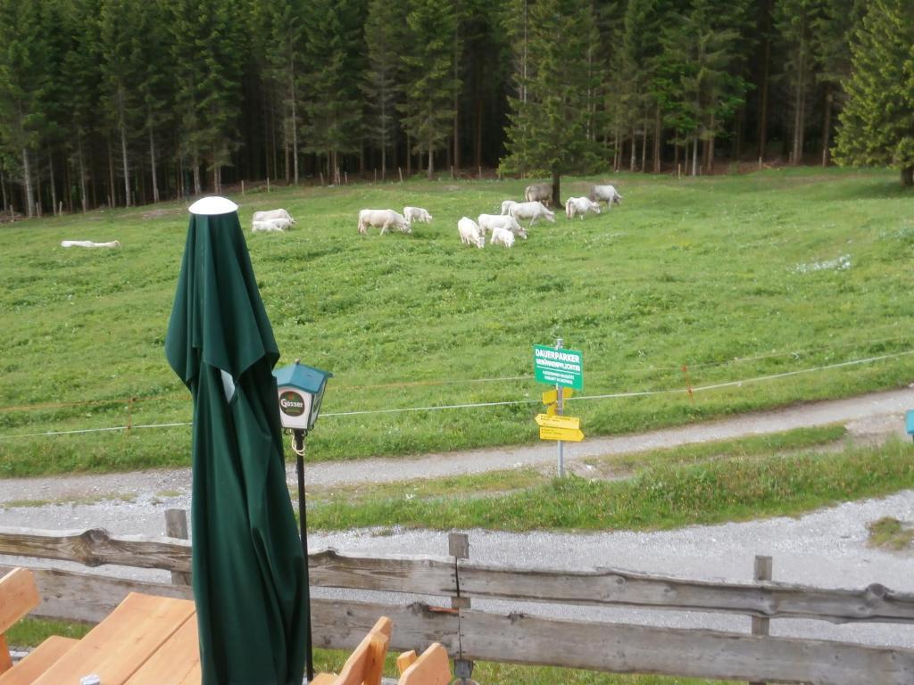 Gasthof Untere Valentinalm Plöcken Exterior foto
